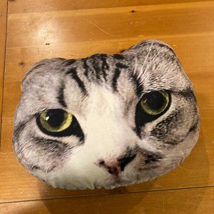 Official Taylor Swift Meredith Pillow